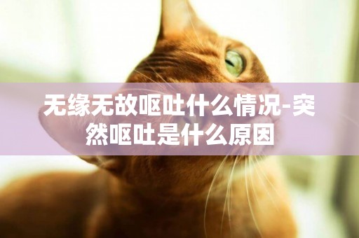 無緣無故嘔吐什么情況-突然嘔吐是什么原因