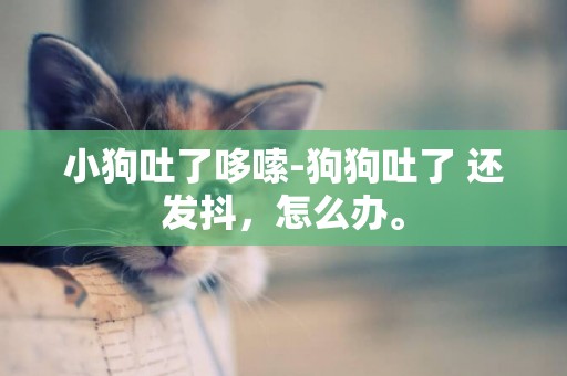 小狗吐了哆嗦-狗狗吐了 還發抖，怎么辦。