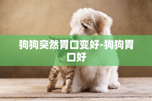 狗狗突然胃口變好-狗狗胃口好
