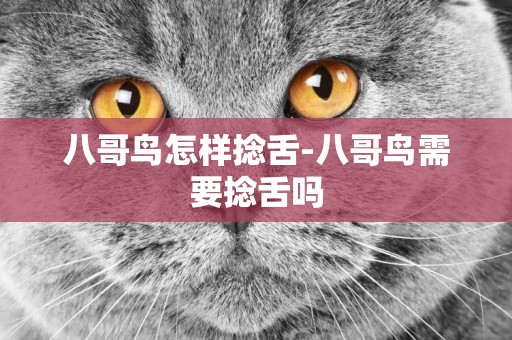 八哥鳥怎樣捻舌-八哥鳥需要捻舌嗎