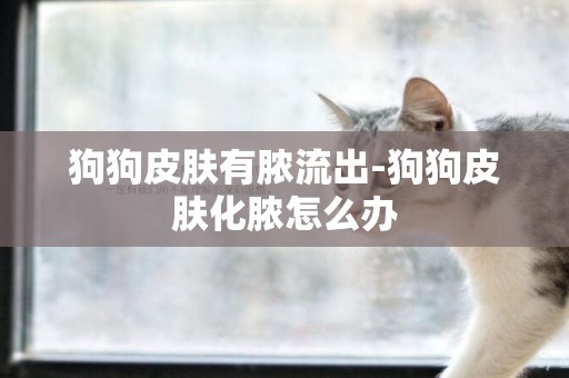 狗狗皮膚有膿流出-狗狗皮膚化膿怎么辦