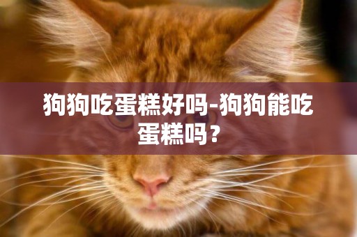 狗狗吃蛋糕好嗎-狗狗能吃蛋糕嗎？