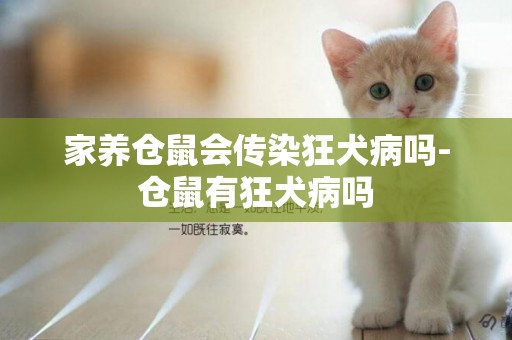 家養倉鼠會傳染狂犬病嗎-倉鼠有狂犬病嗎