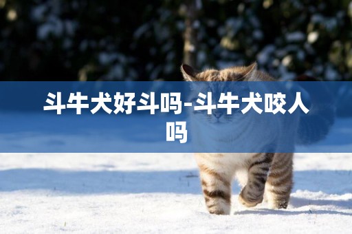 斗牛犬好斗嗎-斗牛犬咬人嗎