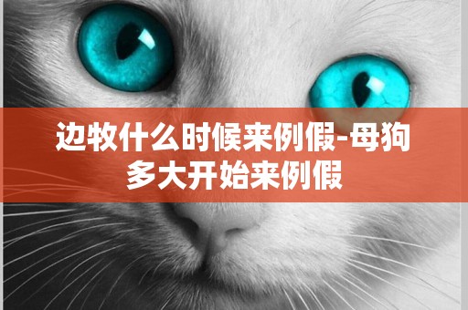 邊牧什么時候來例假-母狗多大開始來例假