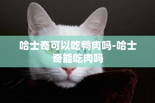哈士奇可以吃鴨肉嗎-哈士奇能吃肉嗎