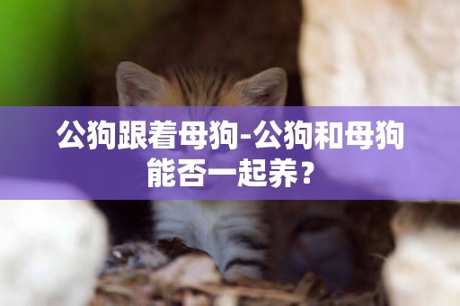公狗跟著母狗-公狗和母狗能否一起養？