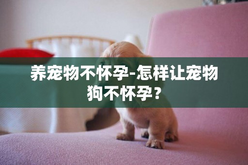 養寵物不懷孕-怎樣讓寵物狗不懷孕？