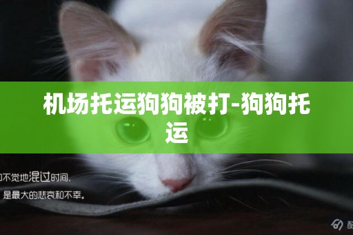 機場托運狗狗被打-狗狗托運