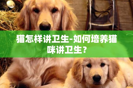 貓怎樣講衛生-如何培養貓咪講衛生？