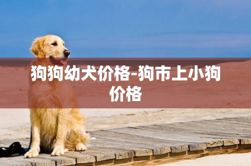 狗狗幼犬價格-狗市上小狗價格
