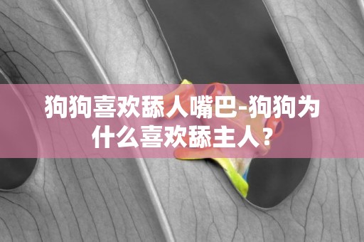 狗狗喜歡舔人嘴巴-狗狗為什么喜歡舔主人？