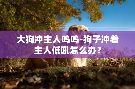 大狗沖主人嗚嗚-狗子沖著主人低吼怎么辦？