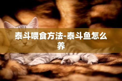 泰斗喂食方法-泰斗魚怎么養