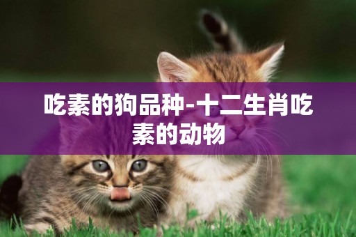 吃素的狗品種-十二生肖吃素的動物