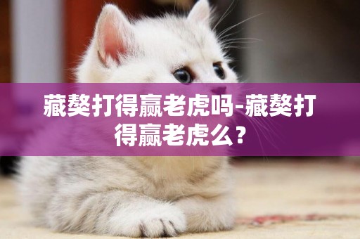 藏獒打得贏老虎嗎-藏獒打得贏老虎么？