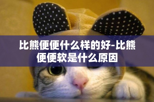 比熊便便什么樣的好-比熊便便軟是什么原因