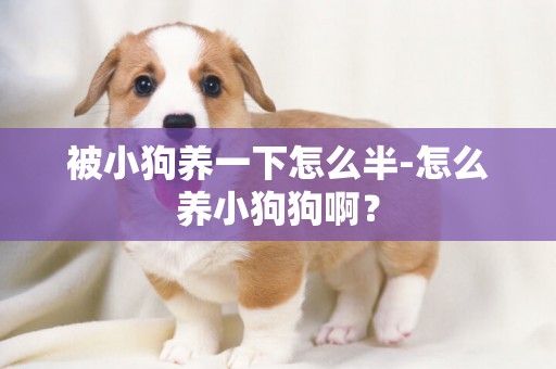 被小狗養一下怎么半-怎么養小狗狗啊？