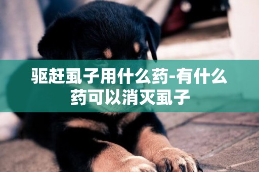 驅趕虱子用什么藥-有什么藥可以消滅虱子