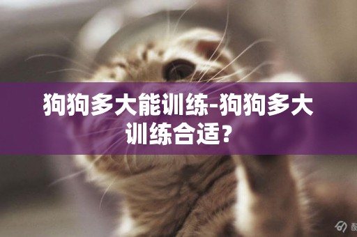 狗狗多大能訓練-狗狗多大訓練合適？