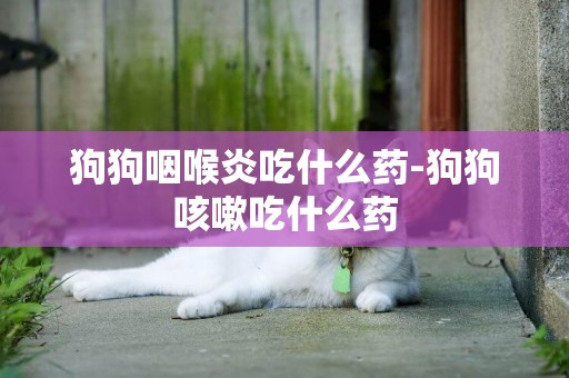 狗狗咽喉炎吃什么藥-狗狗咳嗽吃什么藥