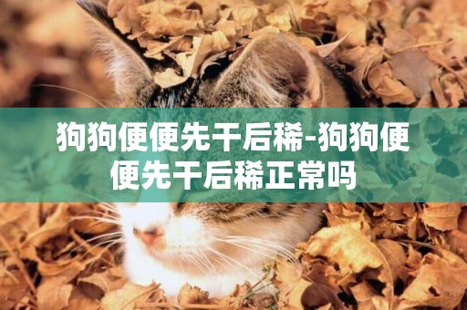 狗狗便便先干后稀-狗狗便便先干后稀正常嗎