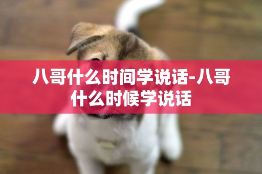 八哥什么時間學說話-八哥什么時候學說話