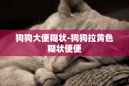 狗狗大便糊狀-狗狗拉黃色糊狀便便