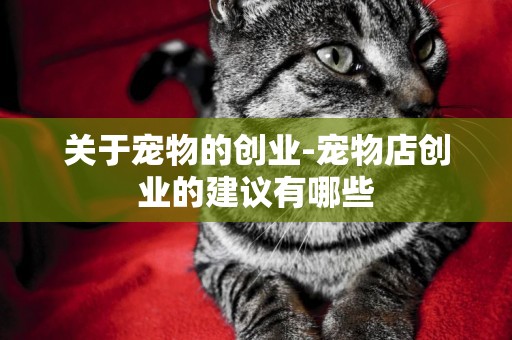 關于寵物的創業-寵物店創業的建議有哪些