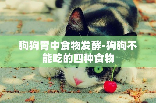 狗狗胃中食物發酵-狗狗不能吃的四種食物
