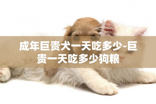 成年巨貴犬一天吃多少-巨貴一天吃多少狗糧