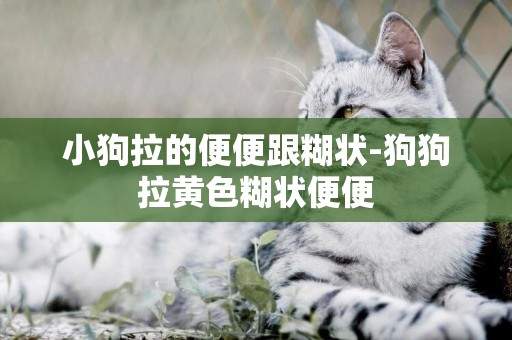 小狗拉的便便跟糊狀-狗狗拉黃色糊狀便便