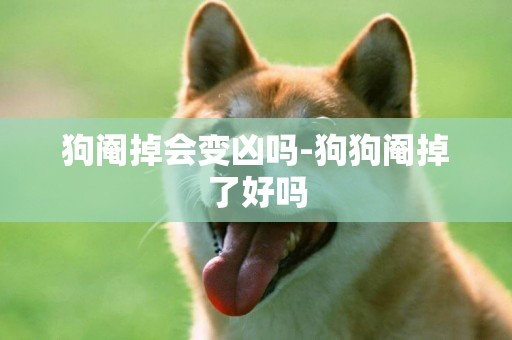 狗閹掉會變兇嗎-狗狗閹掉了好嗎