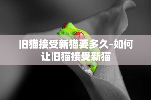 舊貓接受新貓要多久-如何讓舊貓接受新貓