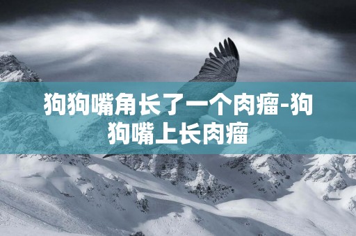 狗狗嘴角長了一個肉瘤-狗狗嘴上長肉瘤