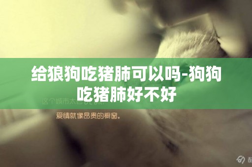 給狼狗吃豬肺可以嗎-狗狗吃豬肺好不好