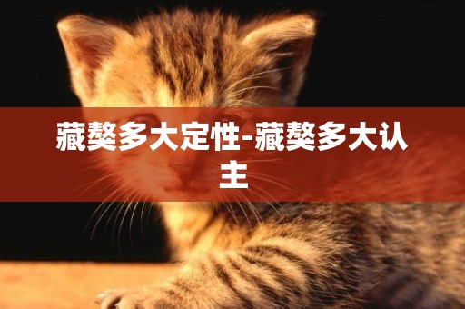 藏獒多大定性-藏獒多大認主