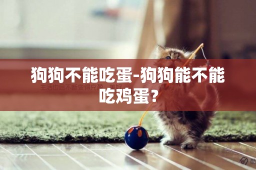 狗狗不能吃蛋-狗狗能不能吃雞蛋？