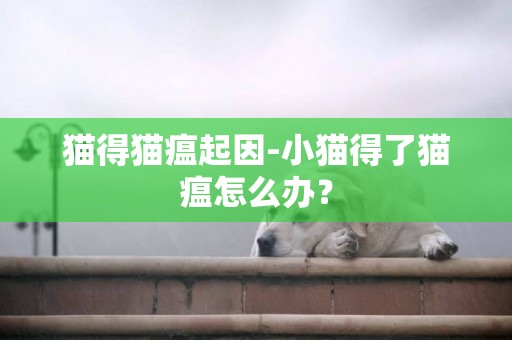 貓得貓瘟起因-小貓得了貓瘟怎么辦？