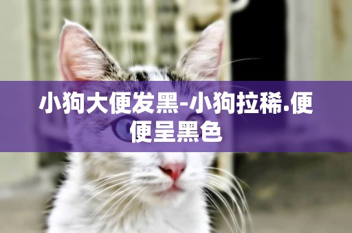 小狗大便發黑-小狗拉稀.便便呈黑色