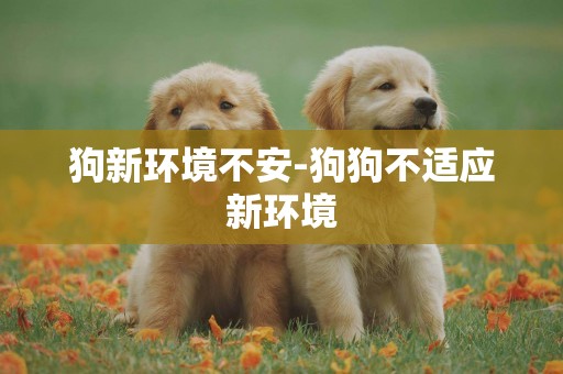 狗新環境不安-狗狗不適應新環境