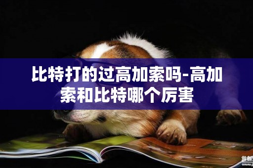 比特打的過高加索嗎-高加索和比特哪個厲害