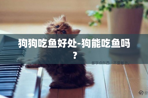 狗狗吃魚好處-狗能吃魚嗎？