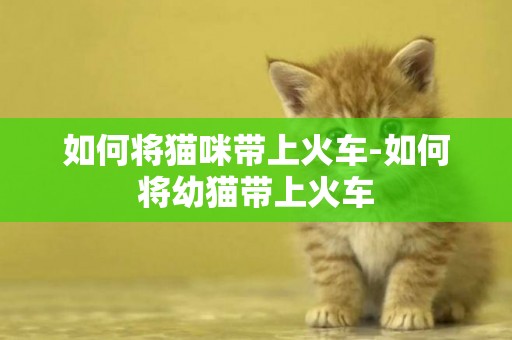 如何將貓咪帶上火車-如何將幼貓帶上火車