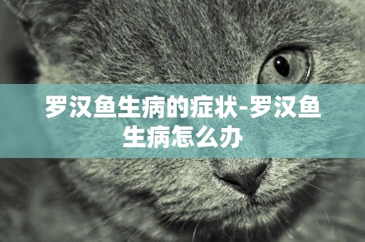 羅漢魚生病的癥狀-羅漢魚生病怎么辦