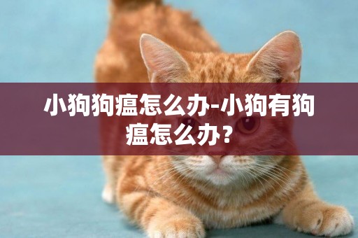 小狗狗瘟怎么辦-小狗有狗瘟怎么辦？