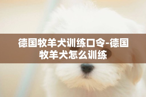 德國牧羊犬訓練口令-德國牧羊犬怎么訓練