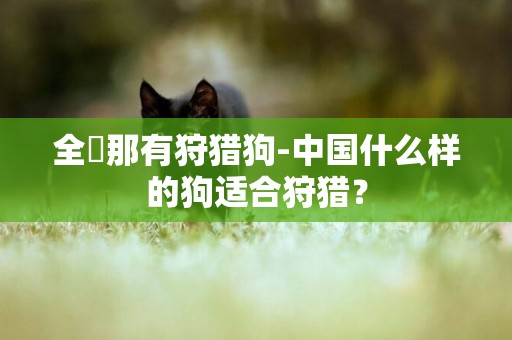 全囯那有狩獵狗-中國什么樣的狗適合狩獵？