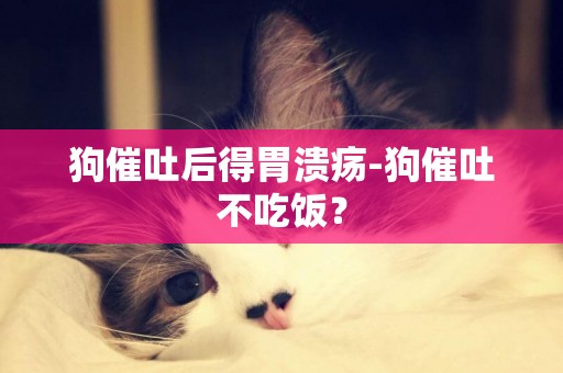 狗催吐后得胃潰瘍-狗催吐不吃飯？