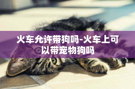 火車允許帶狗嗎-火車上可以帶寵物狗嗎